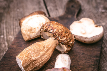 Delicious Types of Edible Wild Mushrooms on Wooden Plank Background. Nature and Healthy Food Concept.