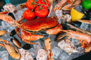 Seafood on ice. Crabs, sturgeon, shellfish, shrimp, Rapana, Dorado, on white ice.