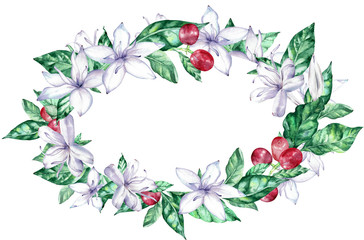Watercolor oval frame with white coffee flowers and red berries.