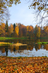 Fototapeta na wymiar Autumn scene with pond and trees covered by orange and red leaves