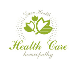 Green spring leaves vector symbol for use in medical and social theme advertisement. Raw food diet vector graphic conceptual logo, no gm theme.