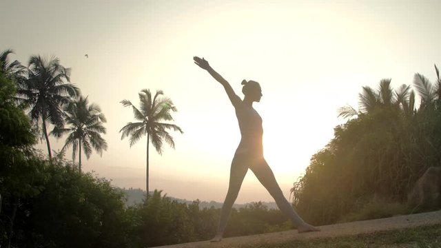 strong lady silhouette shows parivrtta trikonasana doing yoga exercises in tropical park at sunrise back light low angle shot slow motion. Concept fitness yoga wellness lifestyle
