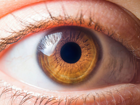 Human eye close up