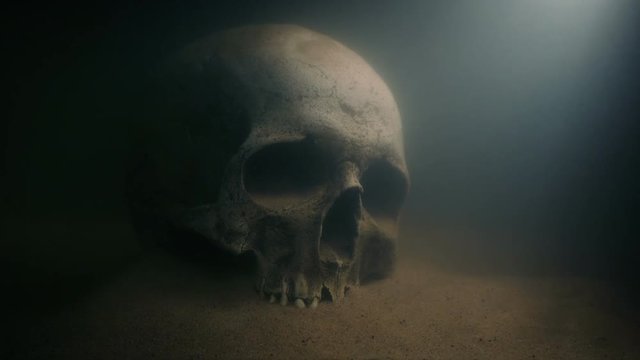 Skull Underwater In Rays Of Light