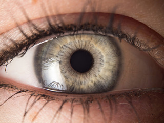Human eye close up