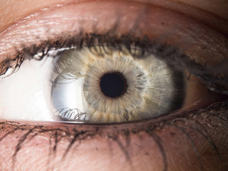 Human eye close up
