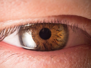 Human eye close up