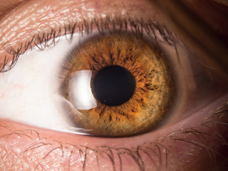 Human eye close up