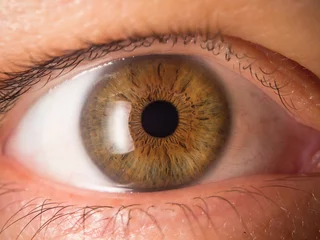 Foto op Aluminium Human eye close up © jakubstepan