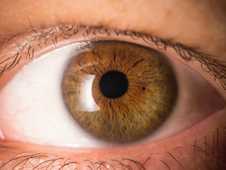 Human eye close up