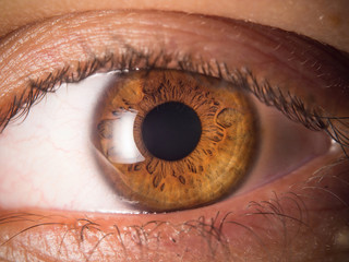 Human eye close up