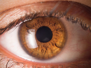 Human eye close up