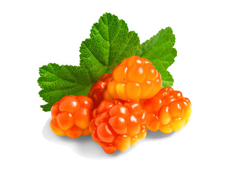 Several berries of cloudberries with a leaf isolated on a white background with clipping paths with shadow and without shadow