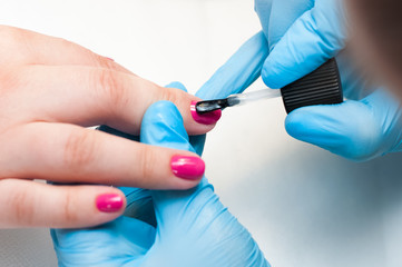 Obraz premium Manicure nail paint pink color. Nail care. Closeup of beautiful woman hands getting manicure in spa salon. Female manicurist cleaning cuticle with professional manicure. Cosmetic procedure.