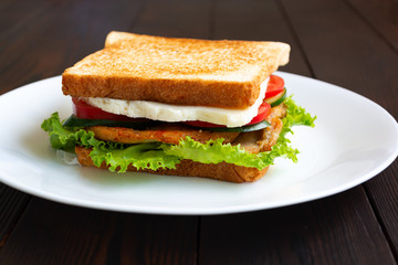 Sandwich