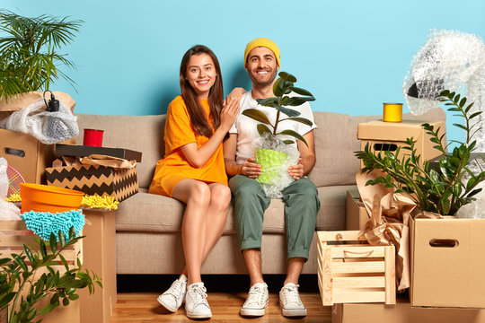 Delighted Woman And Man Sit On Sofa With Household Objects, Buy Luxury House To Start New Family Life. Smiling Husband Holds Pot Of Houseplant, Mirthful Wife Leans At Shoulder. First Home Concept