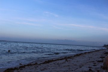 the ocean