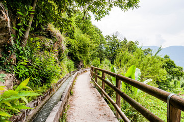 Algund, Waalweg, Wanderweg, Wald, Wasserversorgung, Vinschgau, Südtirol, Sommer, Italien