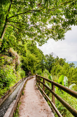 Algund, Waalweg, Tappeinerweg, Wanderweg, Vinschgau, Südtirol, Sommer, Italien