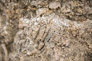 Patterns on the stone on Aegean coast