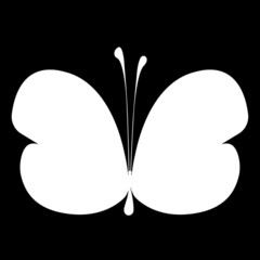 Butterfly contour. Isolated on black background. Vector graphics. Stock vector illustration. There is a place for text. Copy space.