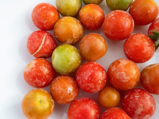Cherry tomatoes freshly harvested