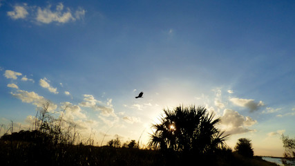 sunset