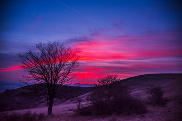 Springtime landscape at the sunset on the hill