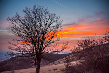 Springtime landscape at the sunset on the hill