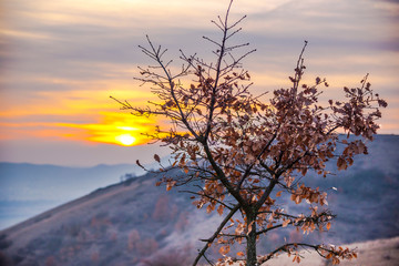 Springtime landscape at the sunset on the hill