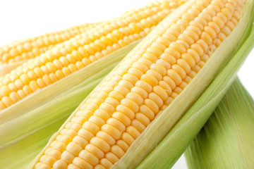 トウモロコシ