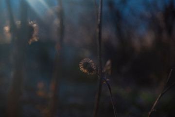 Springtime on the field