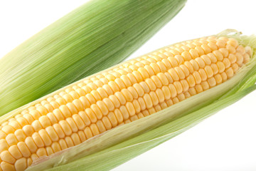 トウモロコシ
