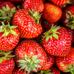 Harvested ripe, sweet garden strawberries.