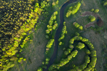 Summer green nature landscape top view. Aerial view of grassy meadow and trees.