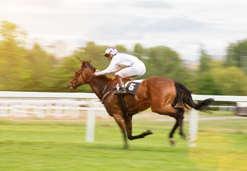 Race horse with jockey on the home straight. Shaving effect.