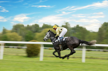 Race horse with jockey on the home straight. Shaving effect.