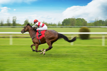 Race horse with jockey on the home straight. Shaving effect.