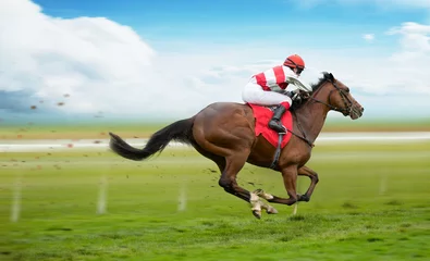 Fensteraufkleber Race horse with jockey on the home straight. Shaving effect. © Lukas Gojda