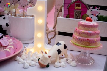 Decoração Festa Infantil