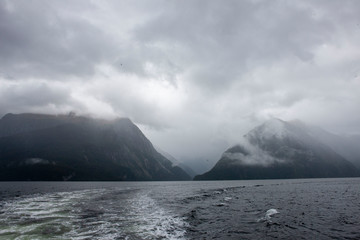 Fototapeta na wymiar Milford sound. Fjordland. new Zealand. Fog. Misty