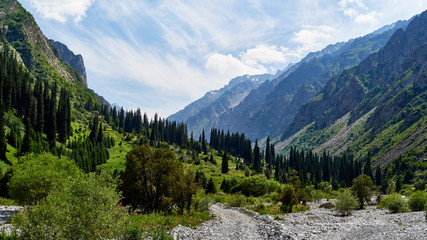 photo of summer mountain valley. Fabulous sunrise, amazing nature, spring, summer in the mountains. Hike, tourism