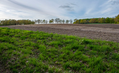 Fototapeta na wymiar East Frisia Germany. Fields in spring