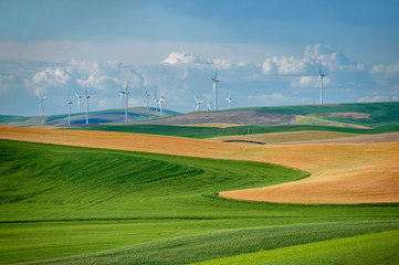 Wind Turbines Seen From Steptoe Butte State Park, Washington. Wind power on the Palouse, a...