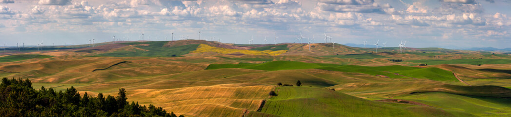 Wind Turbines Seen From Steptoe Butte State Park, Washington. Wind power on the Palouse, a...