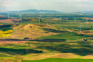 Wind Turbines Seen From Steptoe Butte State Park, Washington. Wind power on the Palouse, a...