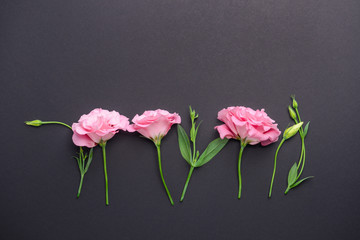 Beautiful flowers on dark background © Pixel-Shot