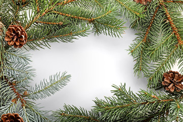Frame made of fir tree branches on white background