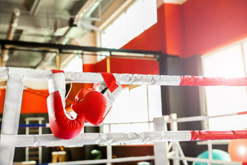 Gloves on rope of boxing ring in gym