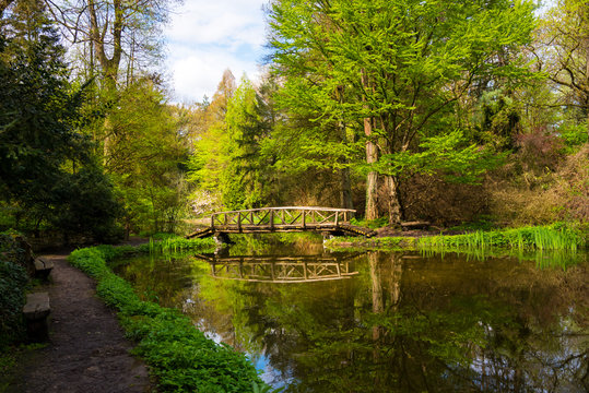 View in the Simeria park,. Romania